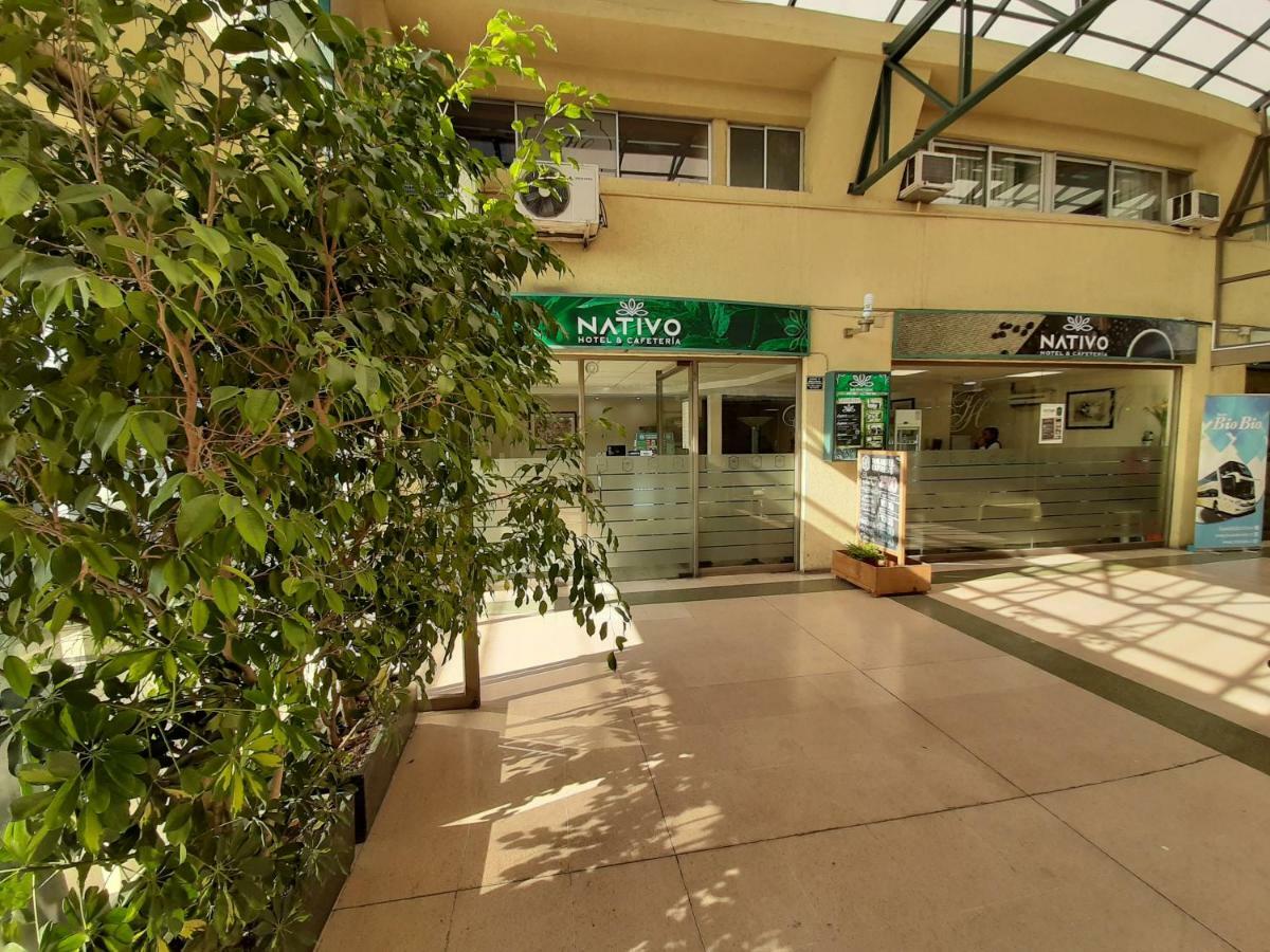 Nativo Hotel Y Cafeteria Talca  Exteriér fotografie